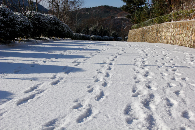 入冬第一场雪 015-02.jpg