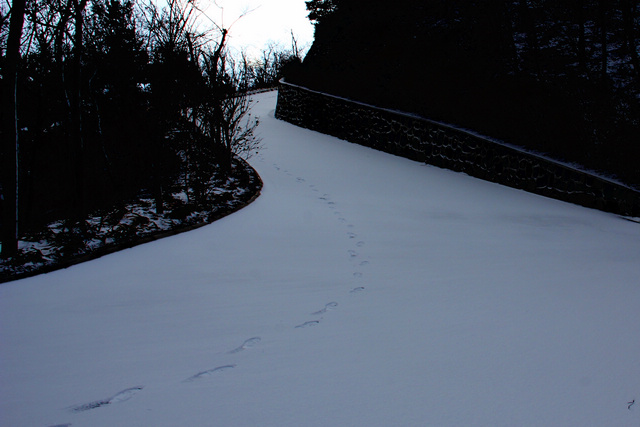 入冬第一场雪 021-02.jpg