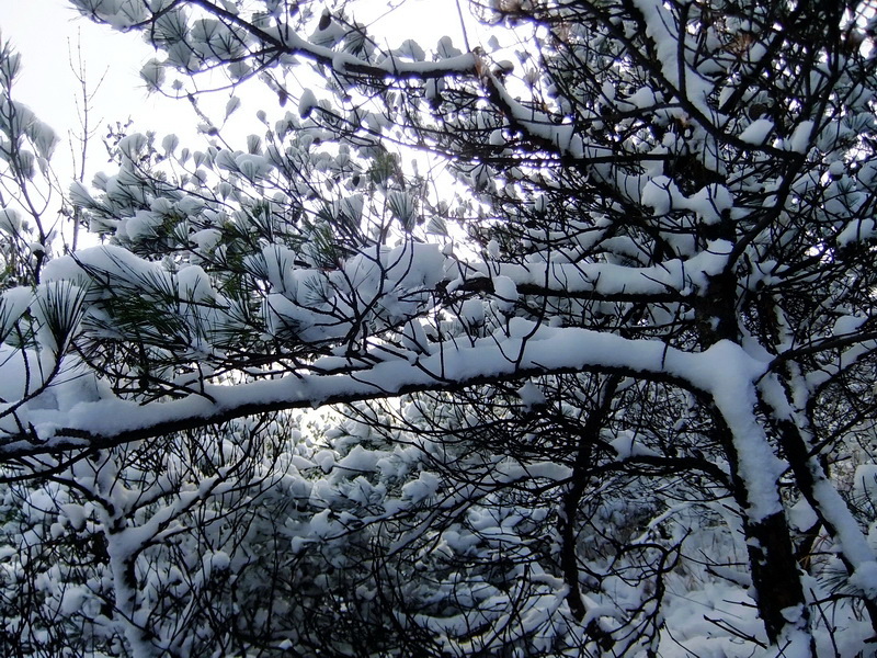 DSCF5398.jpg