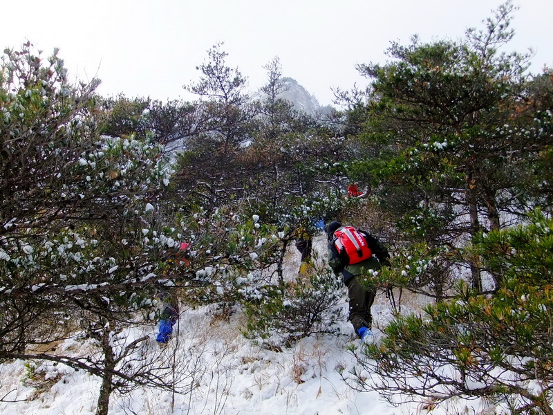 DSCF5389.jpg