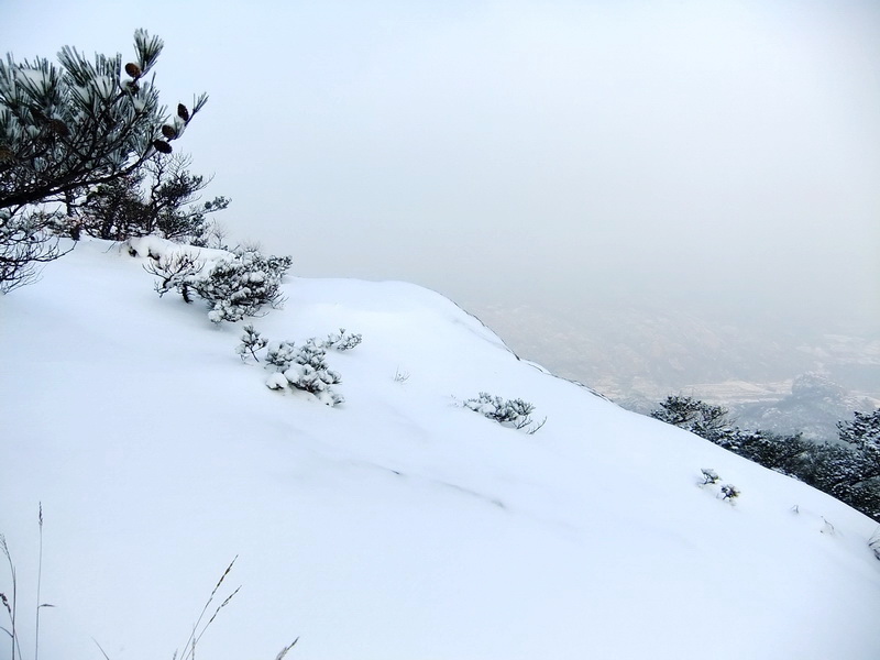 DSCF5417.jpg