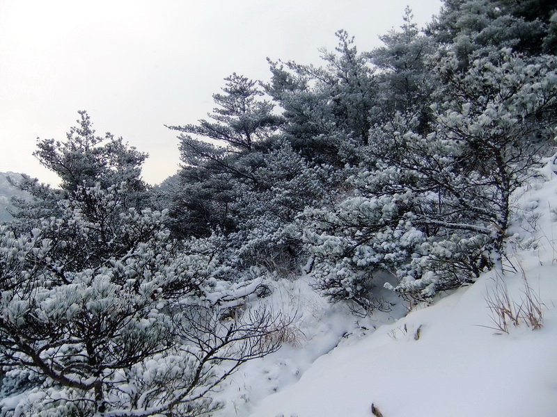 DSCF5415.jpg