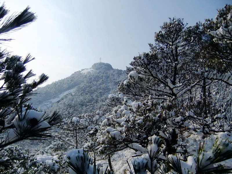 DSCF5421.jpg