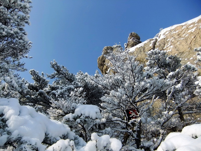 DSCF5423.jpg