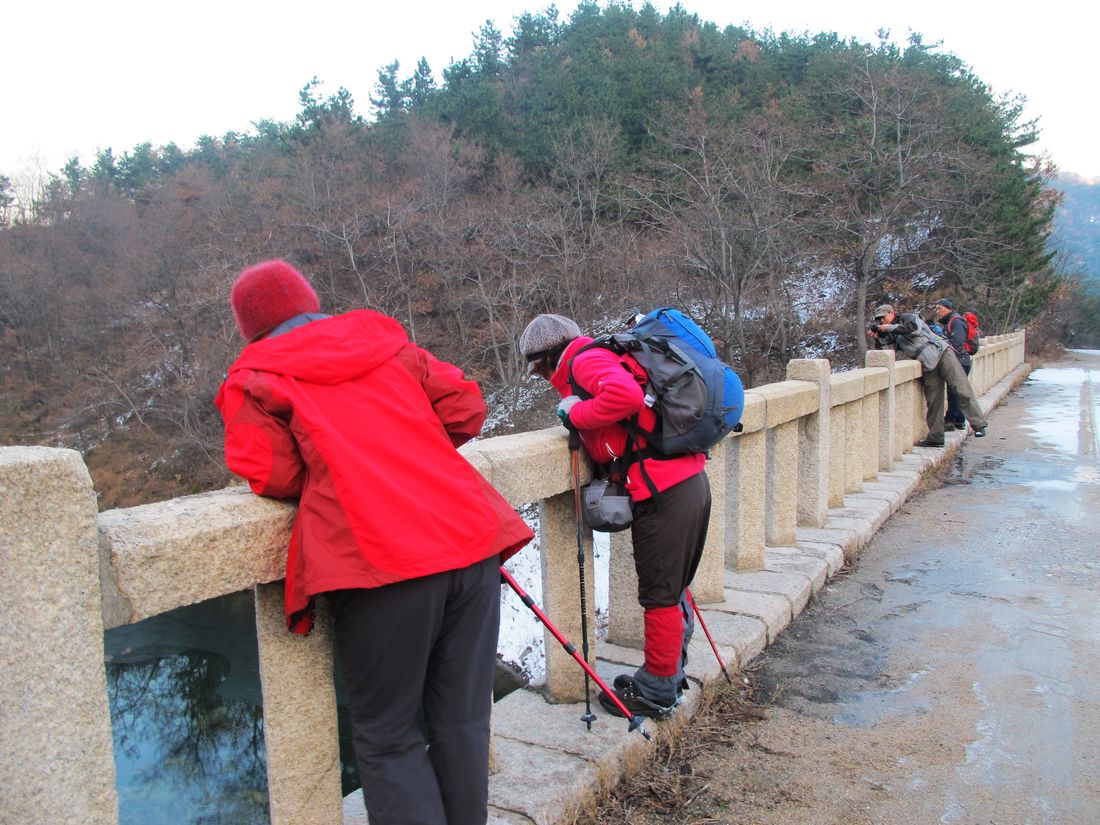 nEO_IMG_2011-12-11踏雪昆嵛山 255.jpg