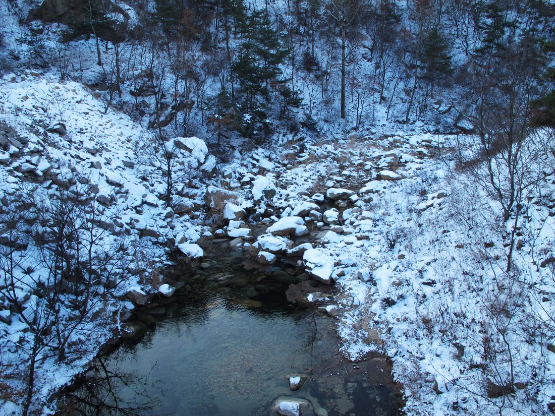 nEO_IMG_2011-12-11踏雪昆嵛山 010.jpg