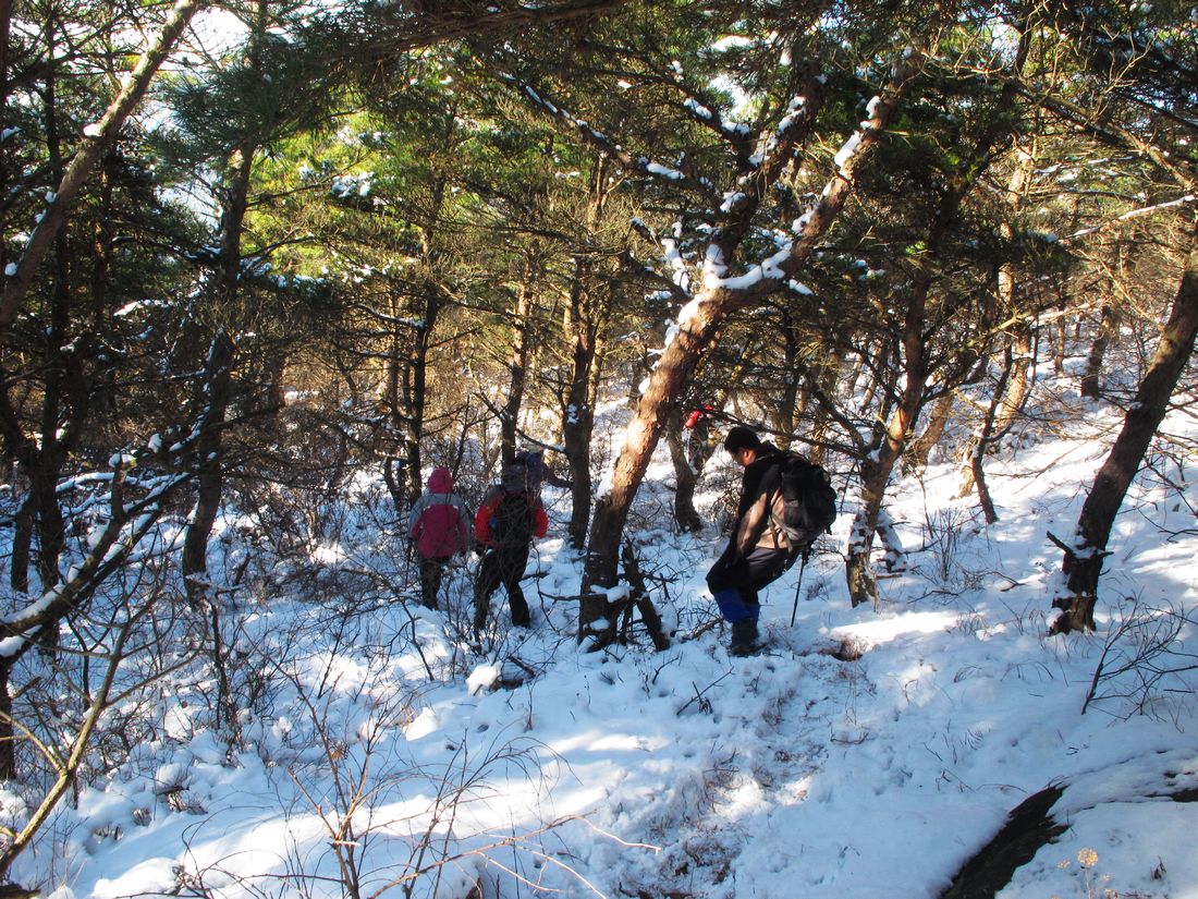 nEO_IMG_2011-12-11踏雪昆嵛山 128.jpg