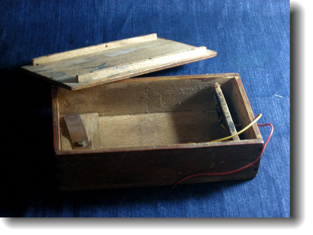 DSCN6595.jpg