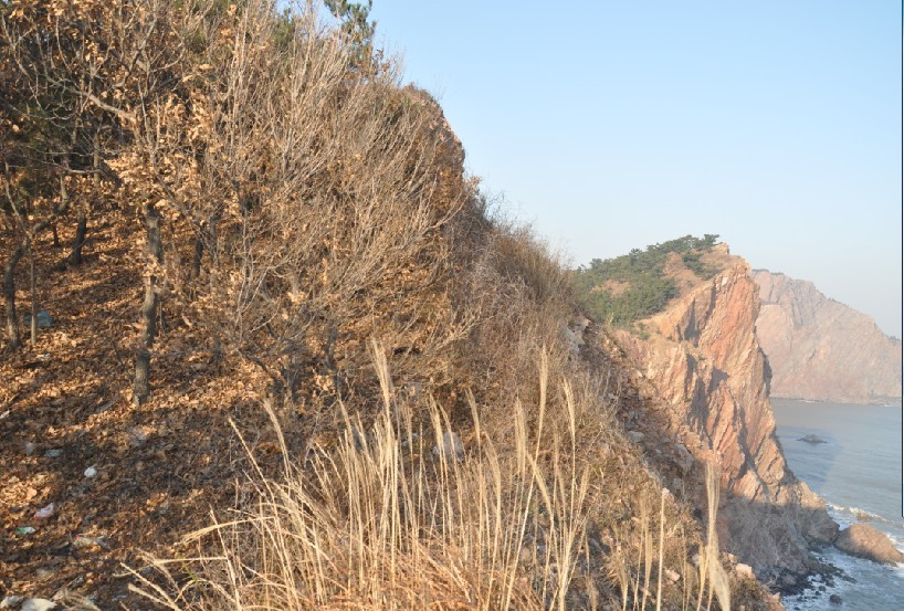 风景.jpg