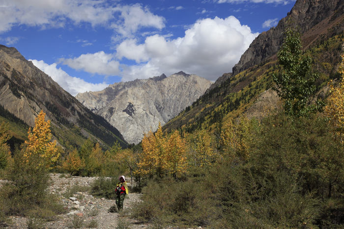 _MG_2343.JPG