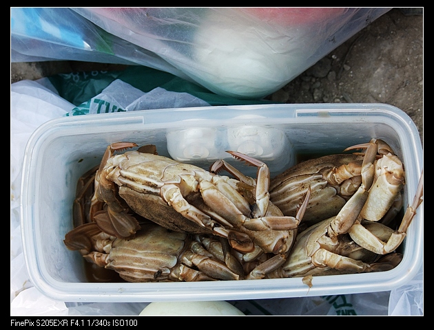 DSCF2531.jpg