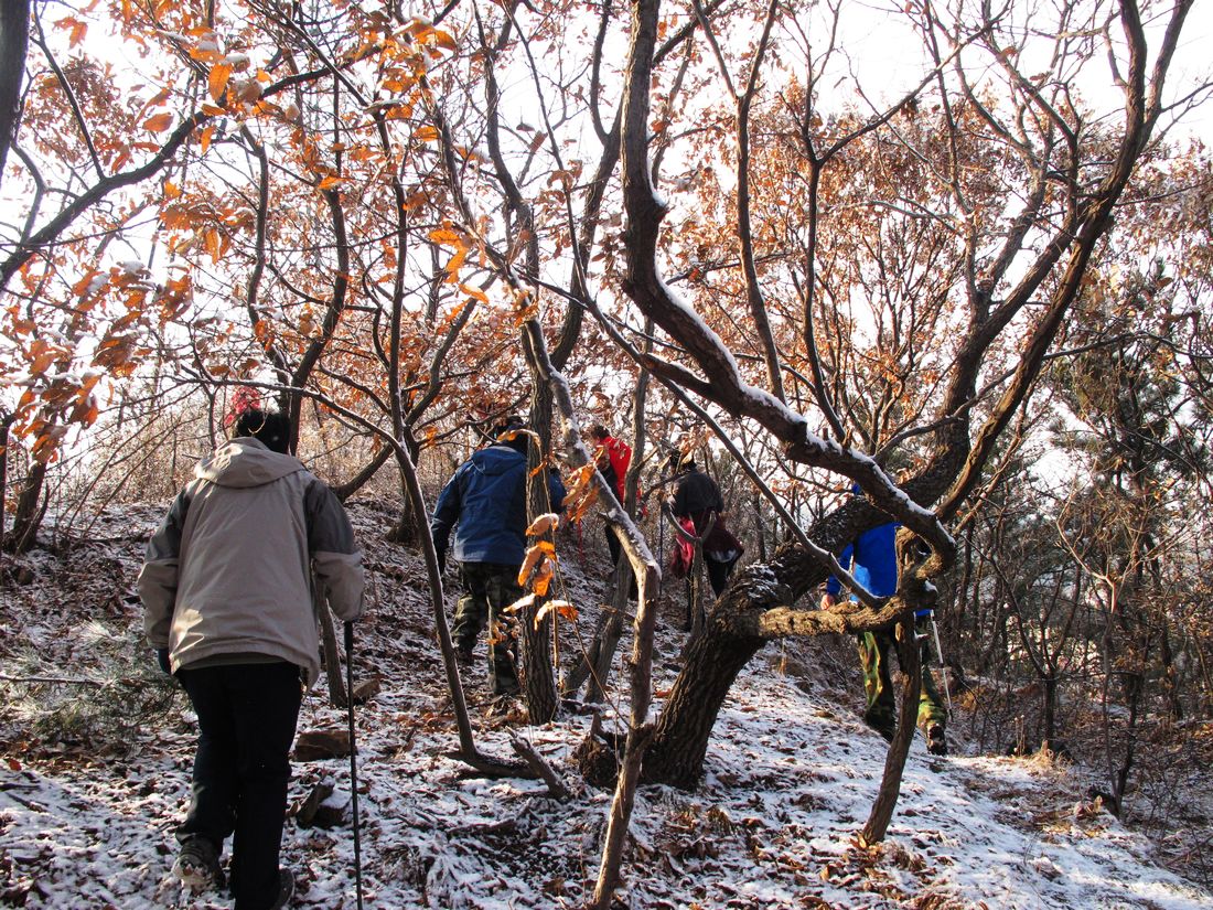 nEO_IMG_2011-12-24徒步大南山 015.jpg