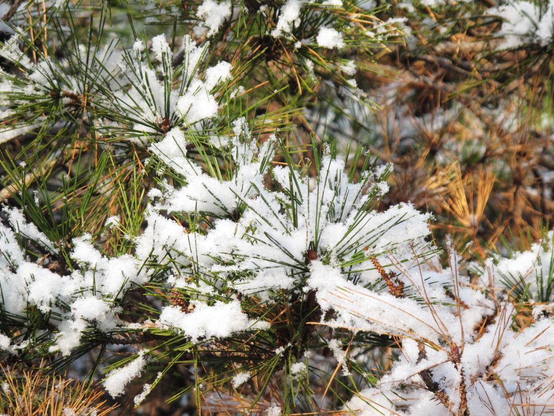 nEO_IMG_2011-12-24徒步大南山 021.jpg