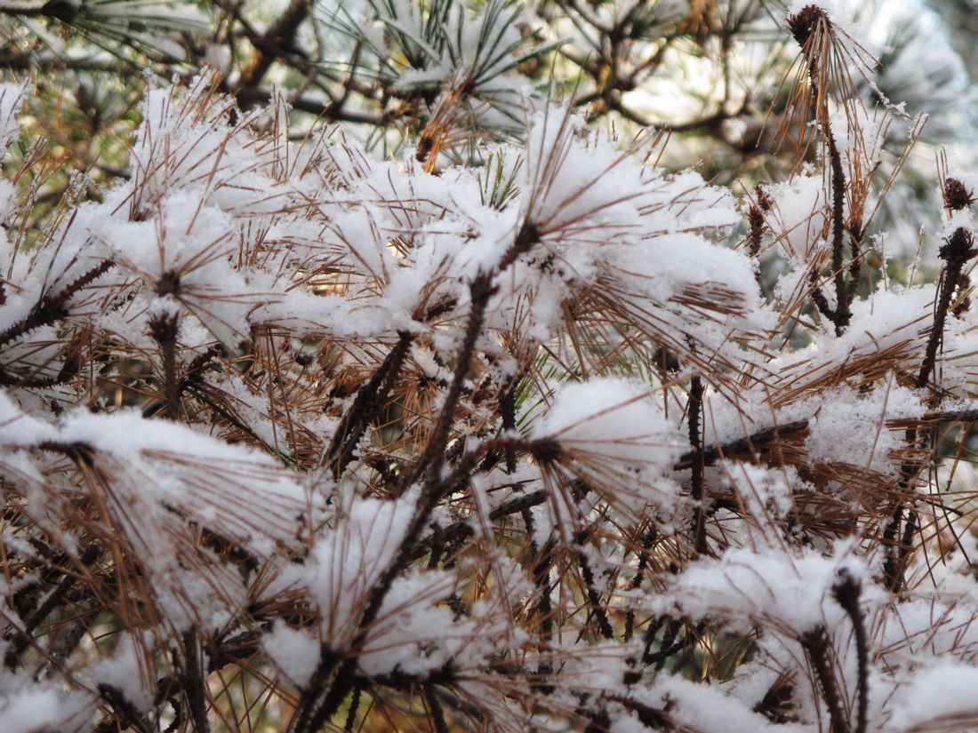 nEO_IMG_2011-12-24徒步大南山 020.jpg
