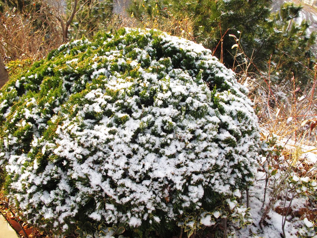 nEO_IMG_2011-12-24徒步大南山 029.jpg