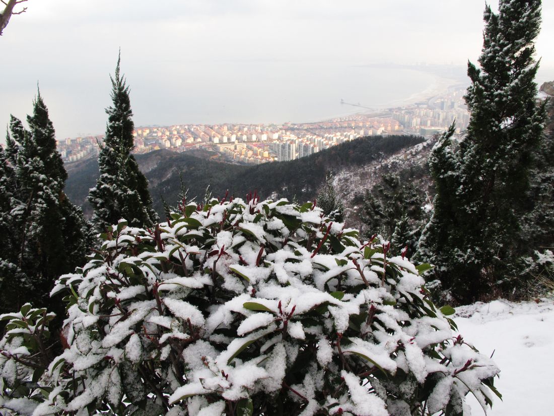 nEO_IMG_2011-12-24徒步大南山 108.jpg