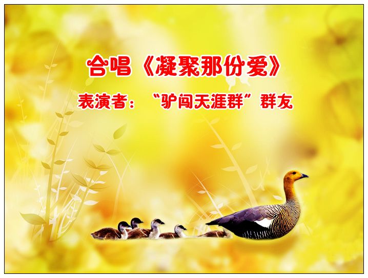 nEO_IMG_山猪-凝聚每份爱.jpg