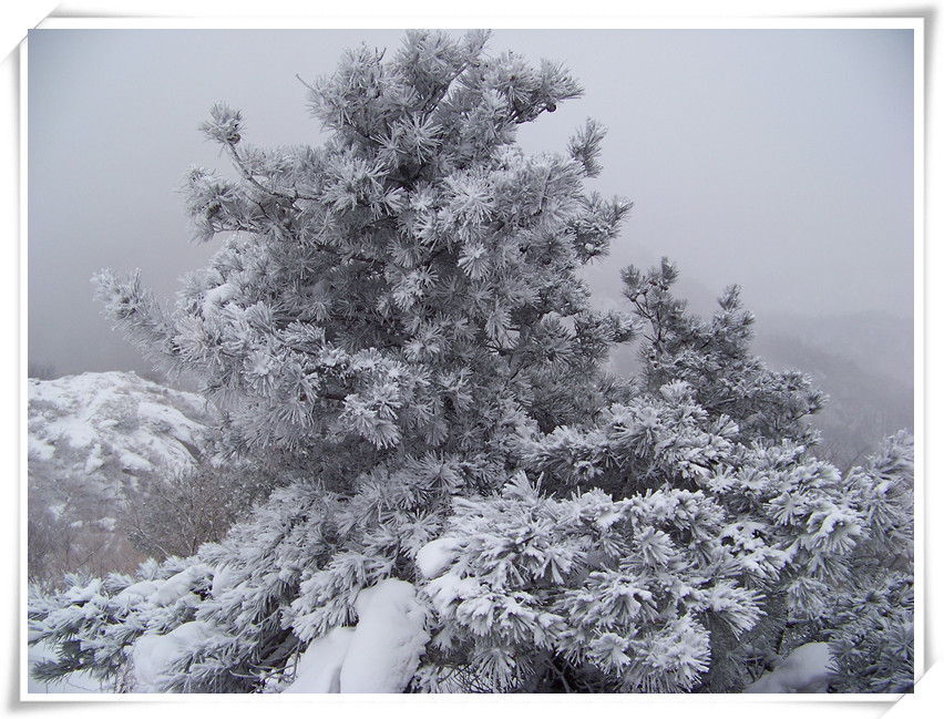 风雪孔雀石 042_副本.jpg