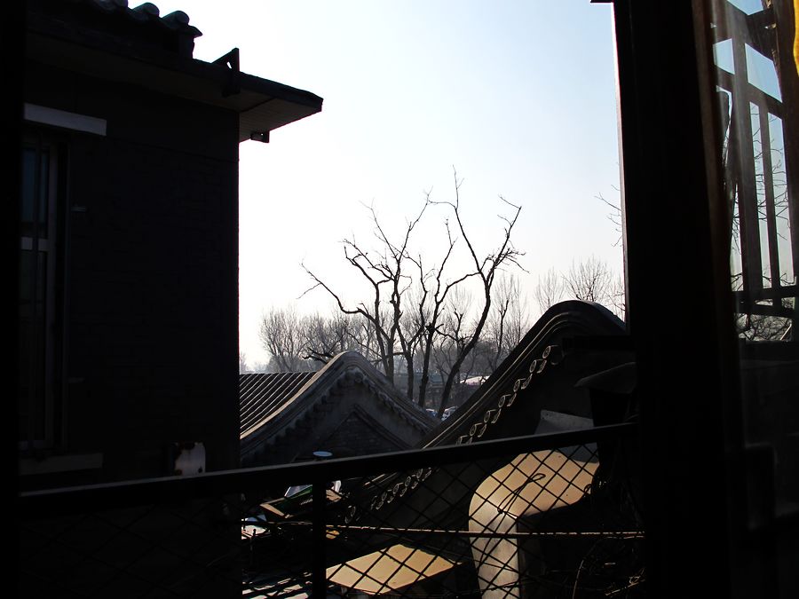 nEO_IMG_IMG_3676.jpg
