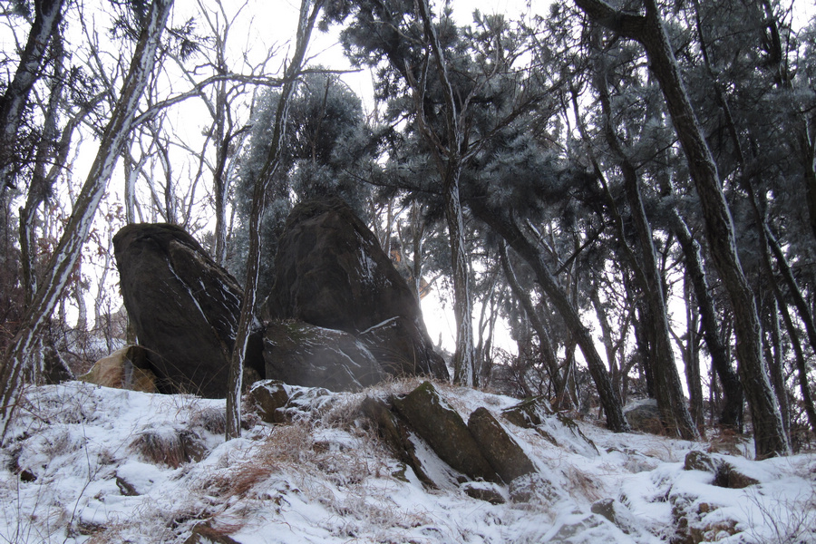 南山赏雪 030.jpg