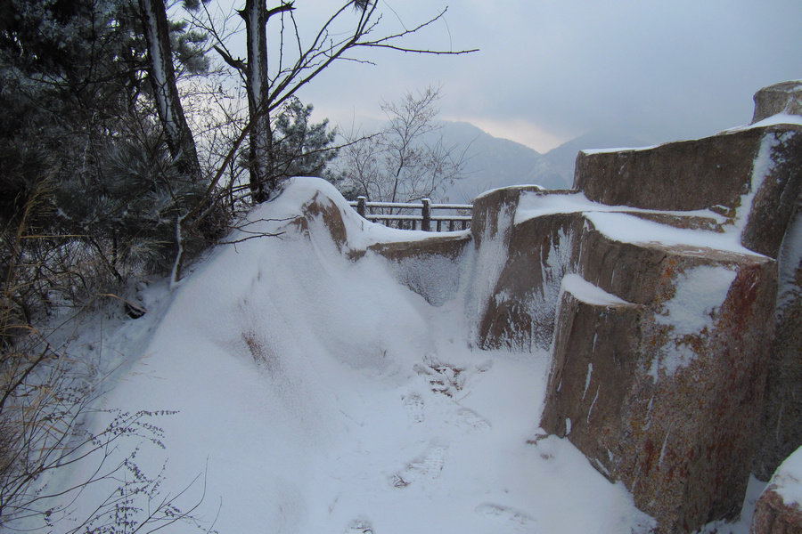 南山赏雪 033-02.jpg