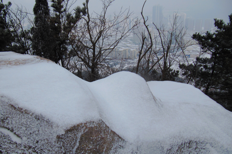 南山赏雪 034-02.jpg