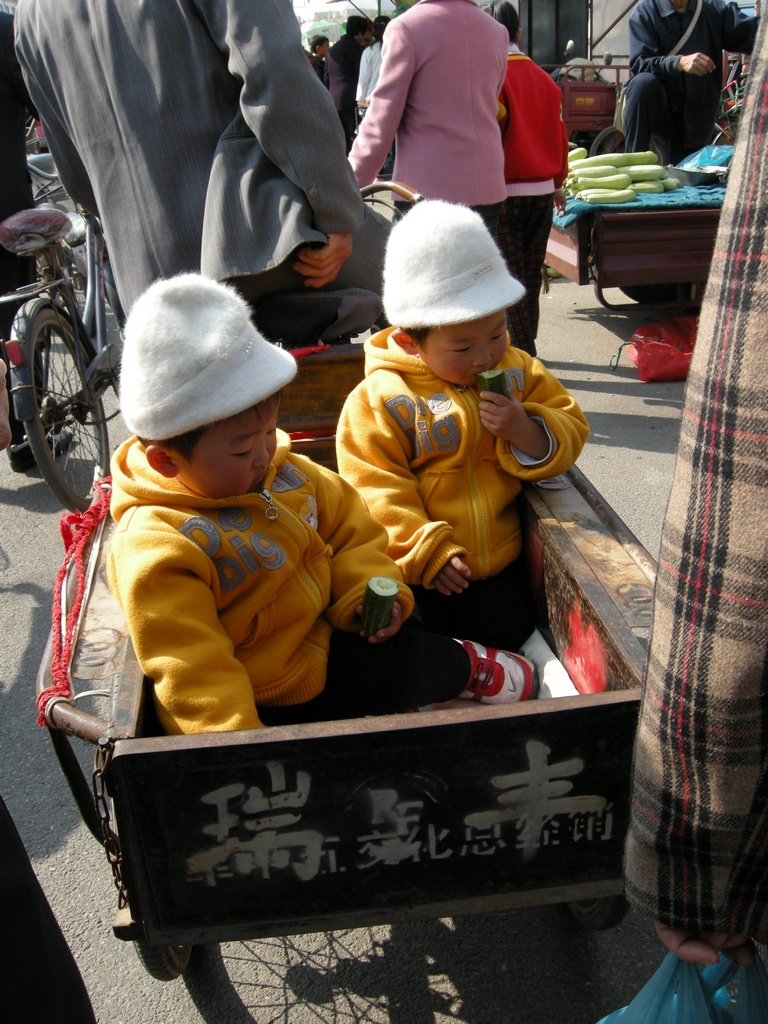 DSCN3079.jpg