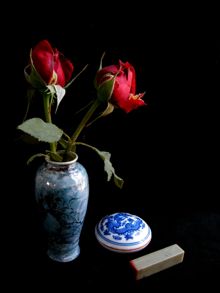 DSCN4217.jpg
