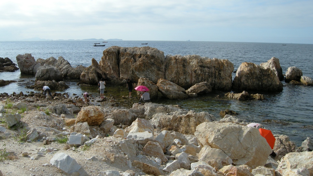 尼康3.jpg