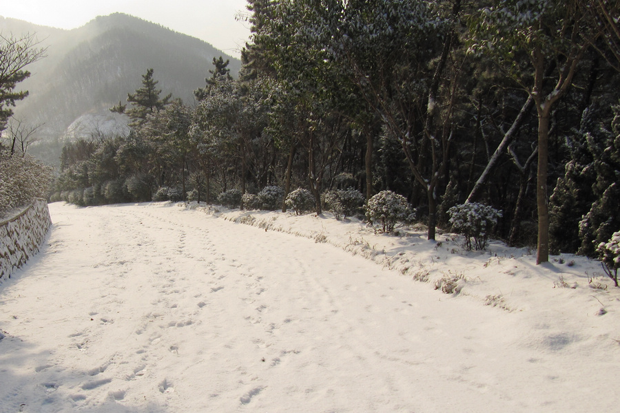 南山赏雪 123.jpg