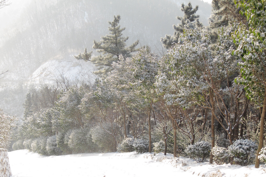 南山赏雪 124.jpg