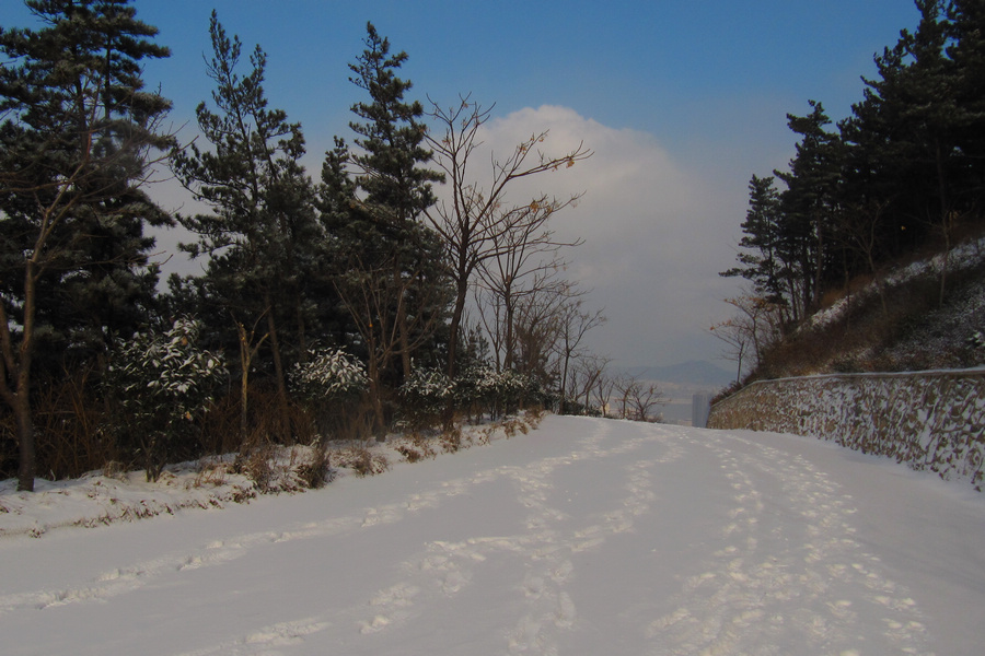南山赏雪 119.jpg