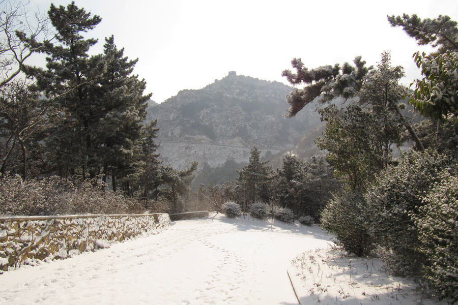 南山赏雪 131.jpg