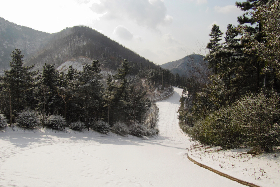 南山赏雪 141-02.jpg