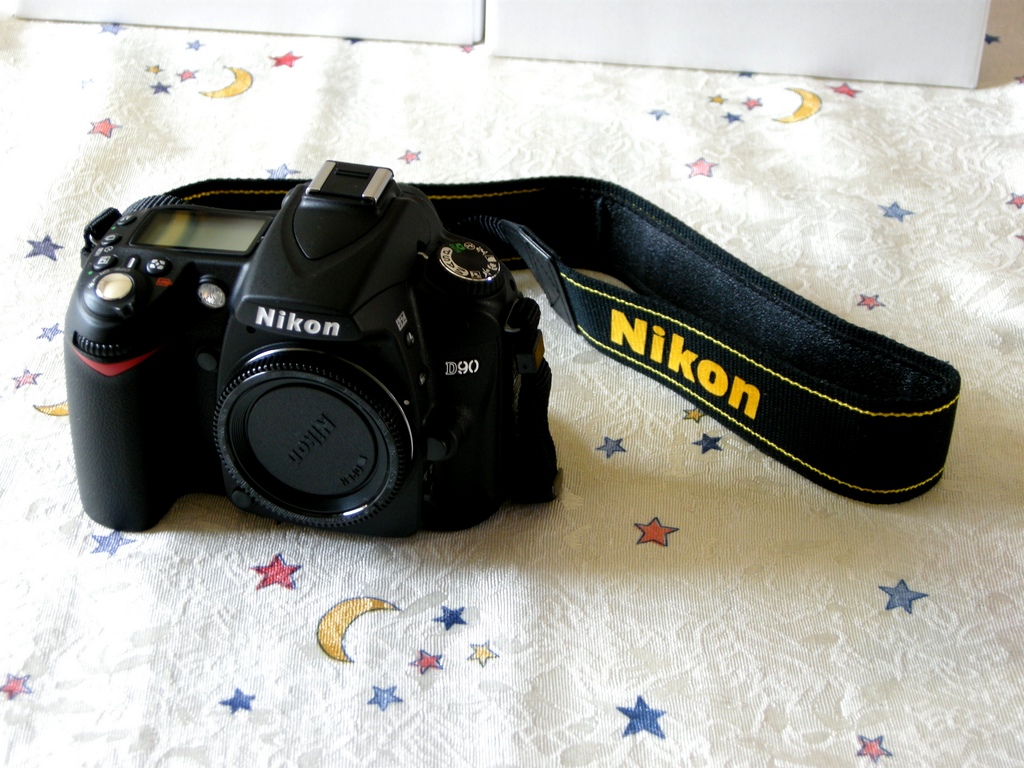 DSCN5391.jpg