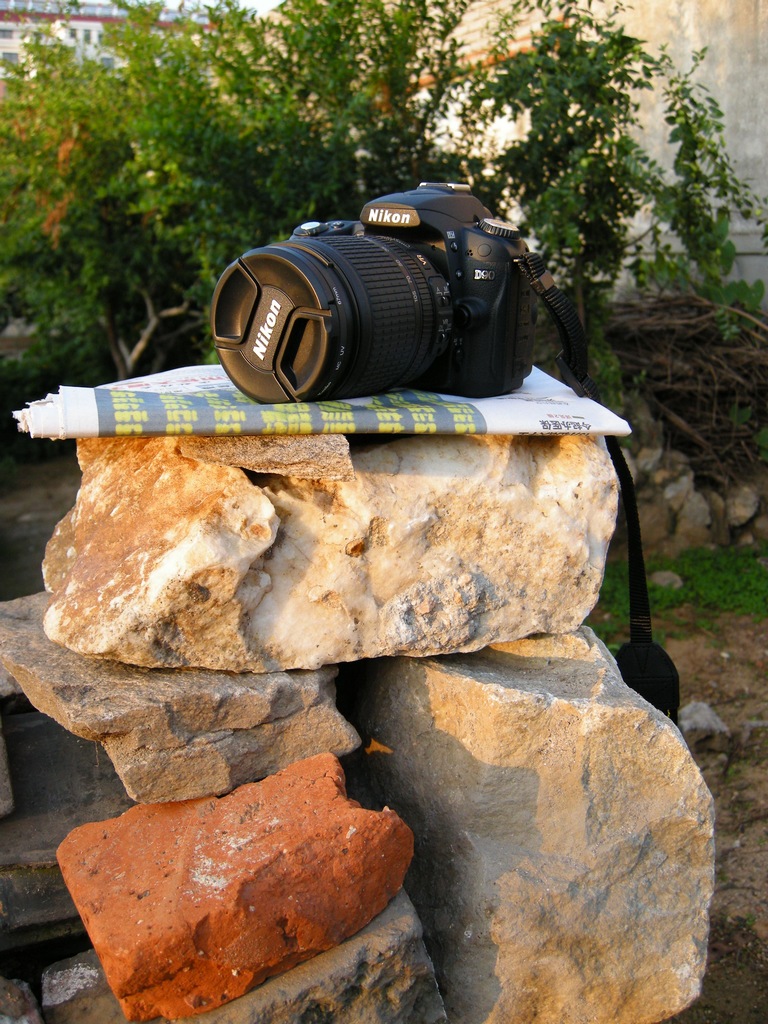 DSCN5431.jpg