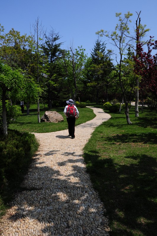DSC_4089.jpg