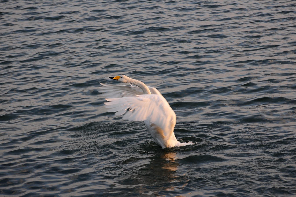 DSC_0577.jpg
