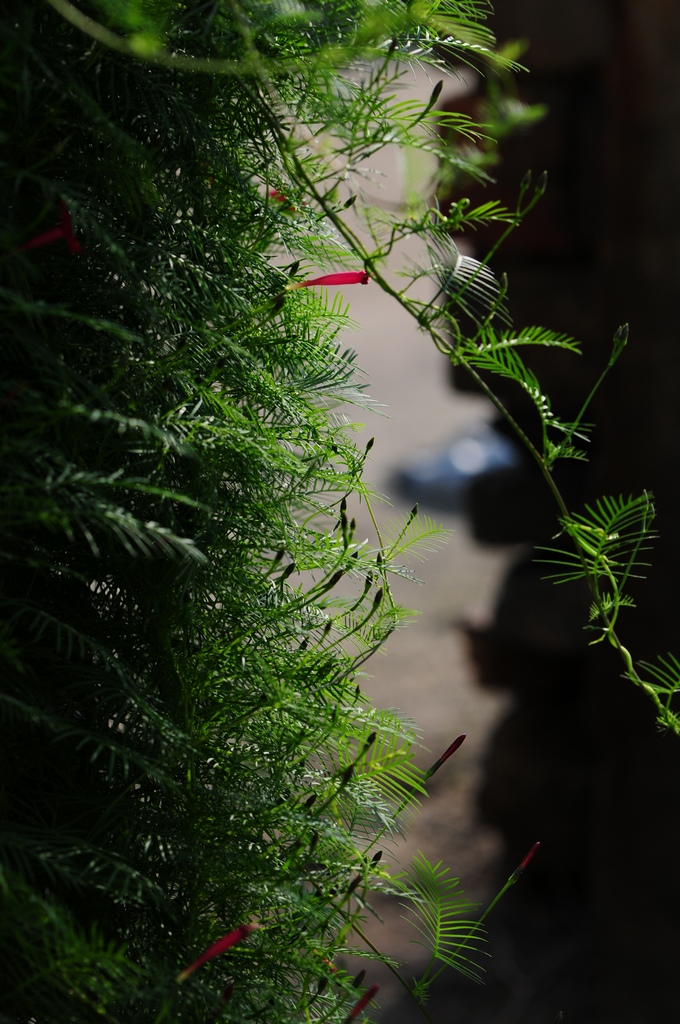 DSC_2804.jpg
