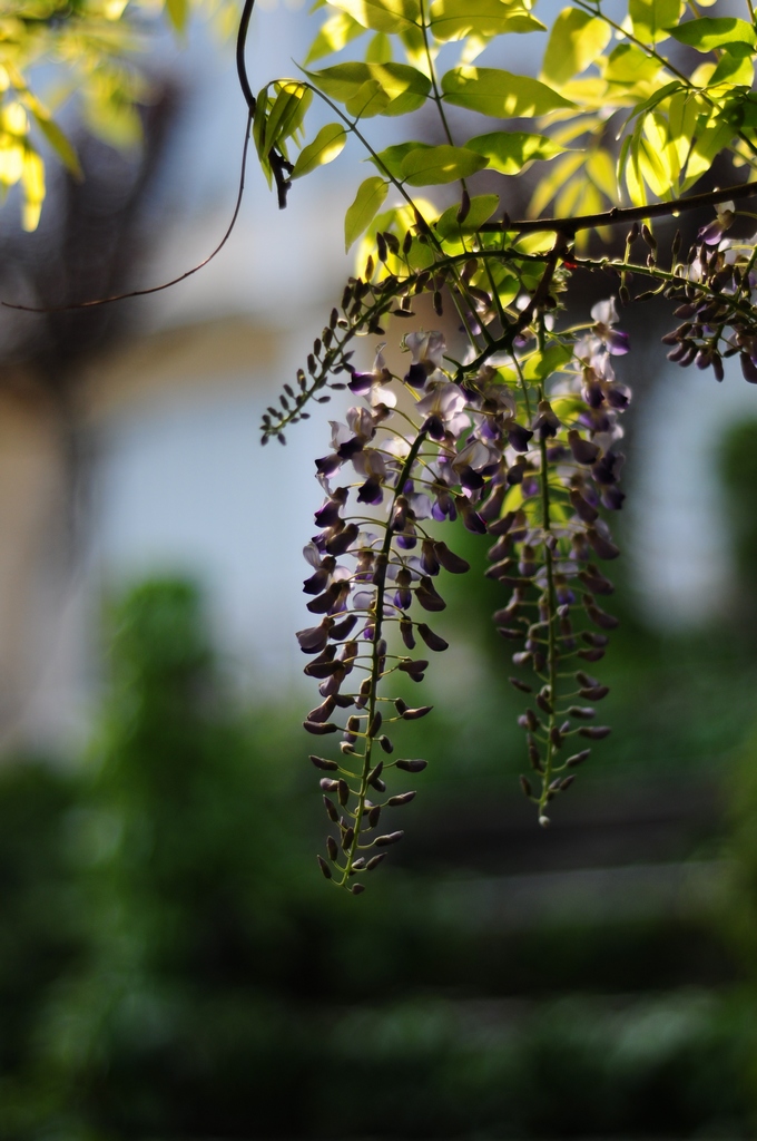 DSC_3100.jpg