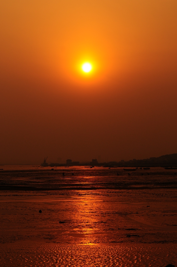 DSC_0548.jpg