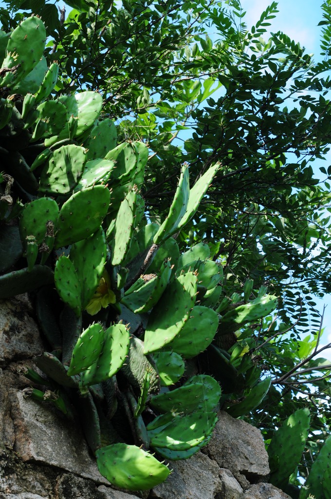 DSC_2373.jpg
