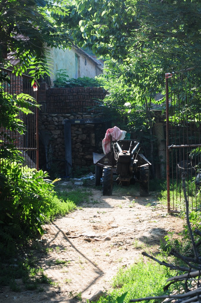 DSC_2397.jpg
