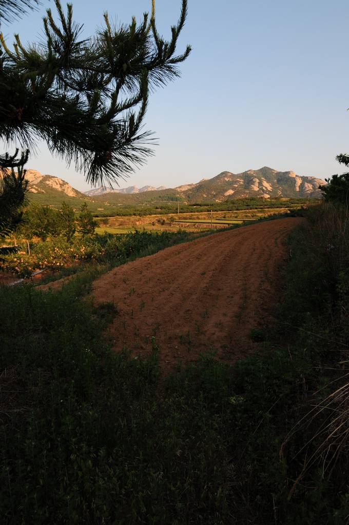 DSC_1584.jpg