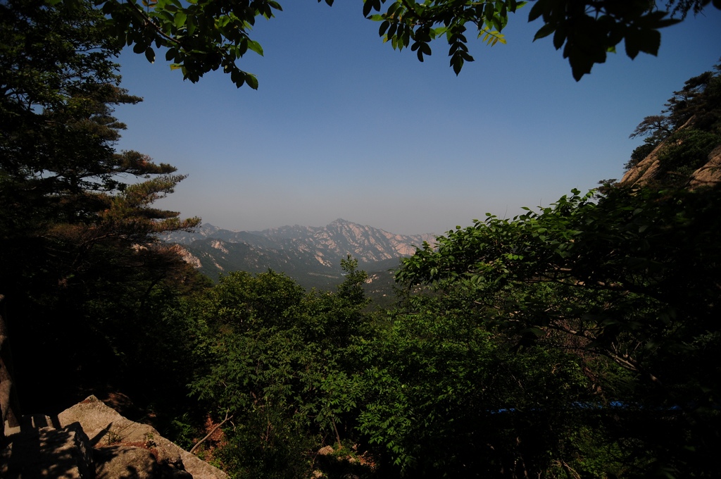 DSC_1890.jpg