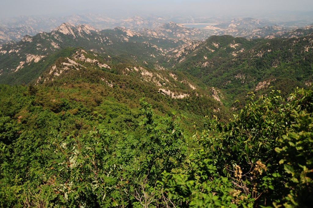 DSC_1906.jpg