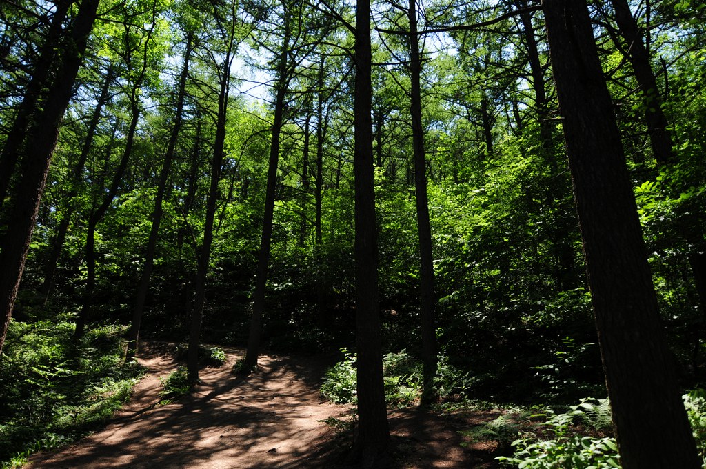 DSC_1937.jpg