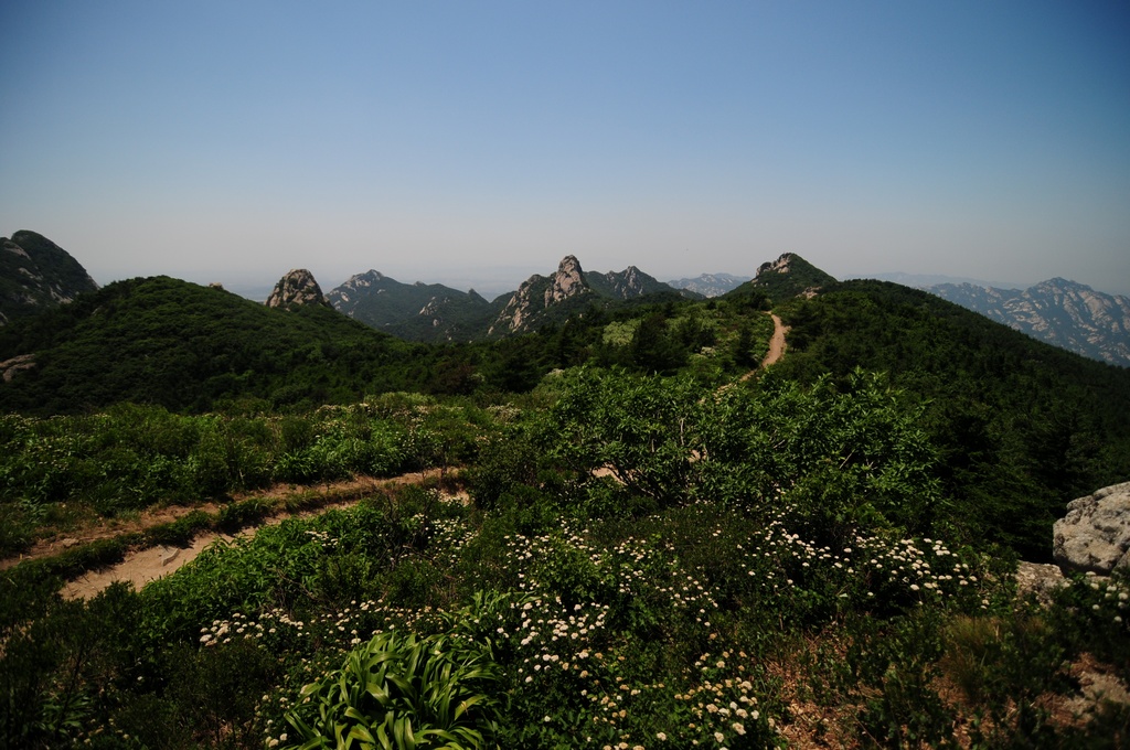 DSC_1975.jpg