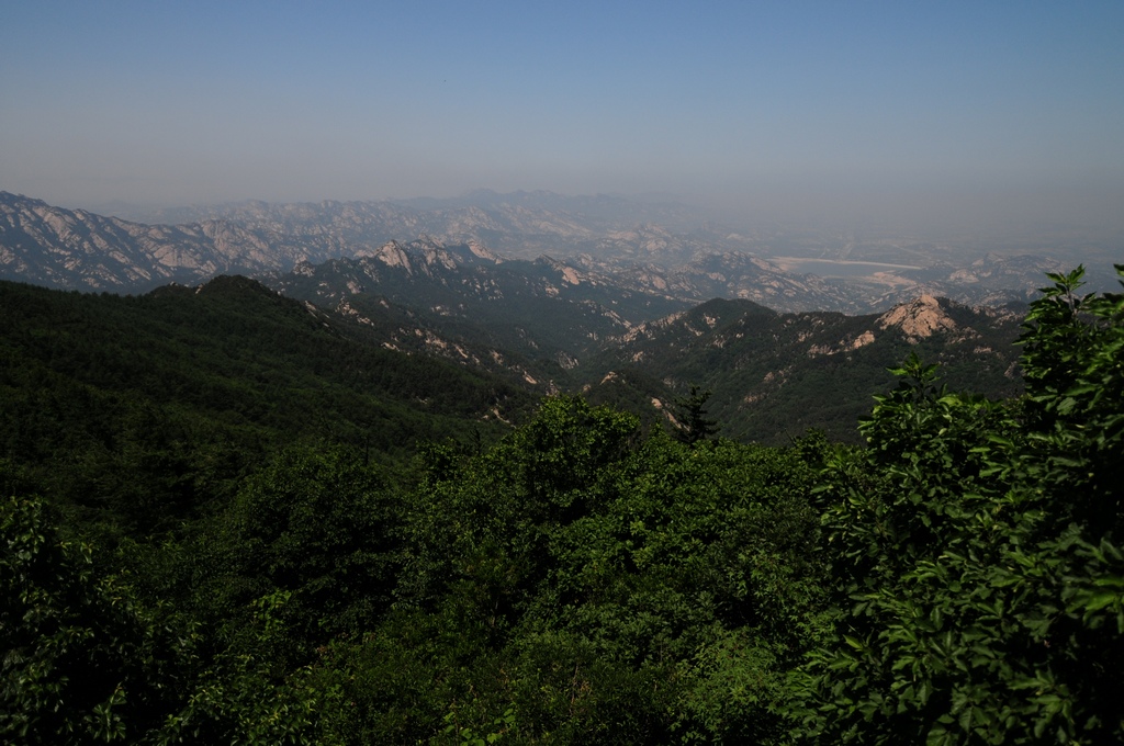 DSC_1971.jpg