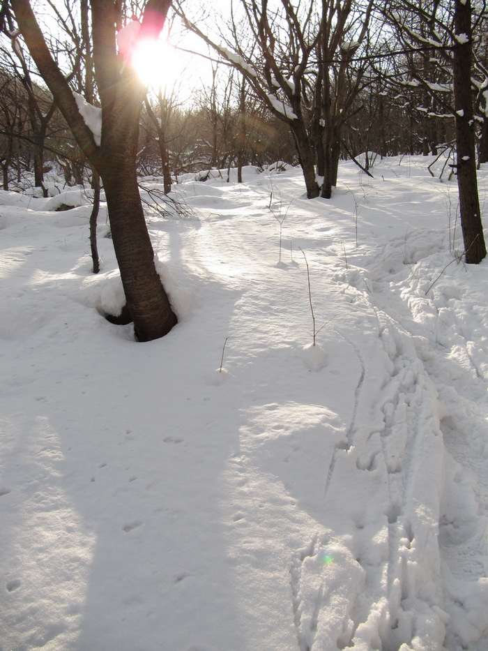 元月十四日踏雪昆嵛山 108.jpg